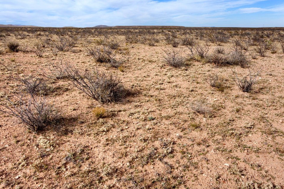 Eastern bajada of the Caballo Mountains