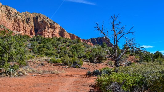 Llama Trail