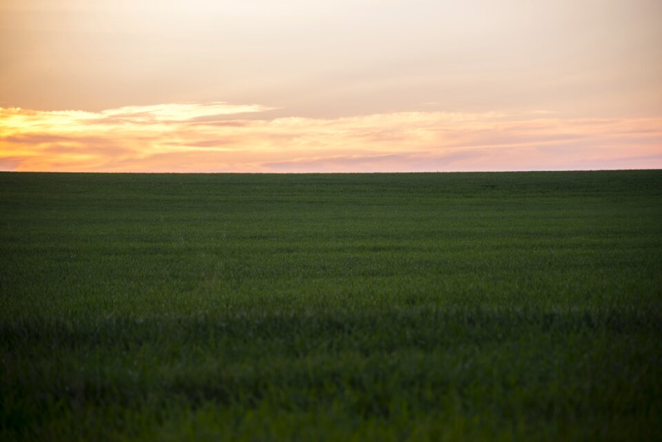 Sky meadow nature photo