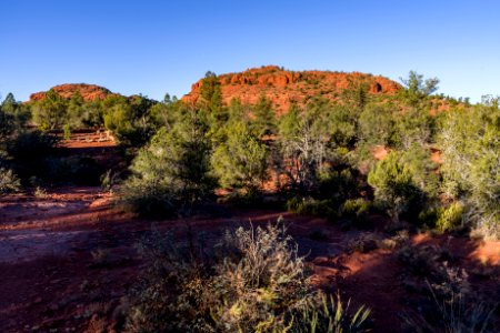 Turkey Creek Trail