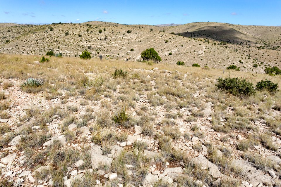 Northeast of Skunk Canyon