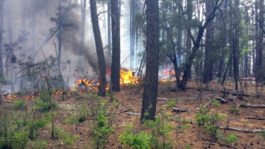 Horse Tank Managed Fire June 8, 2015