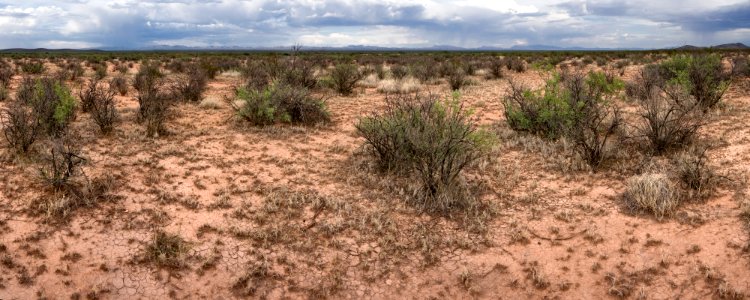 Near Lyons Draw
