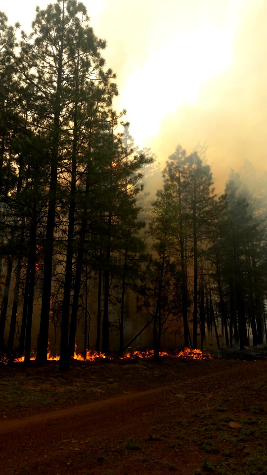 Jack Fire (June 7, 2016)