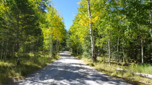 Lockett Meadow Campground: September 19, 2017