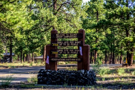 O'Leary Group Camp