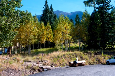 Snowbowl: Humphreys Trailhead