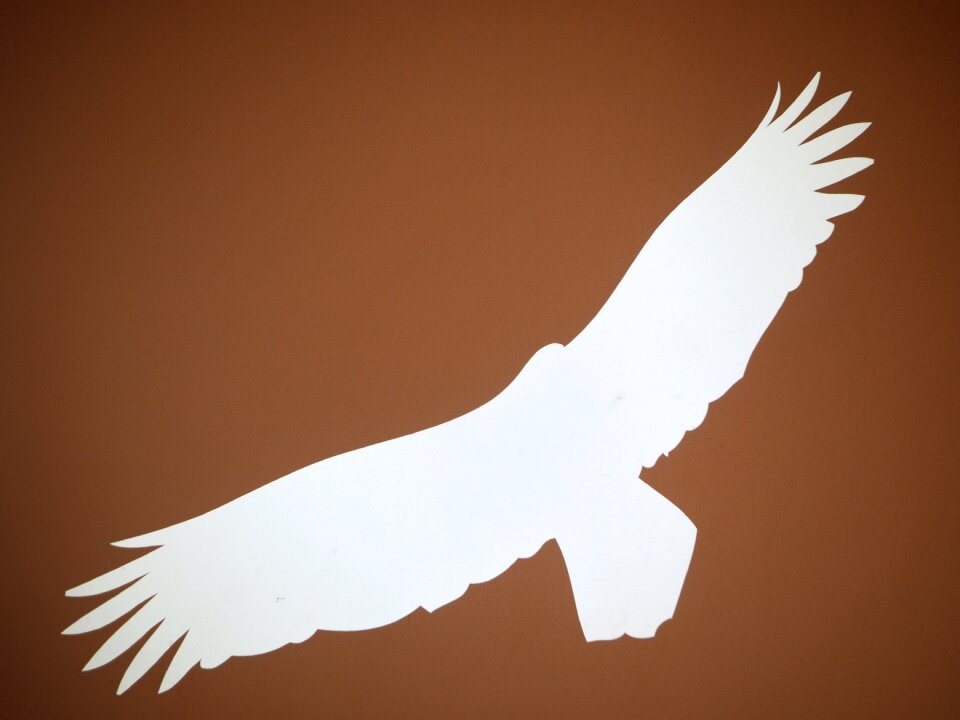 Silhouette flying wing