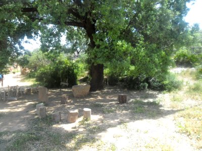 Temps de Terra (32)
