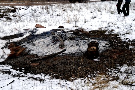 Pile Burn