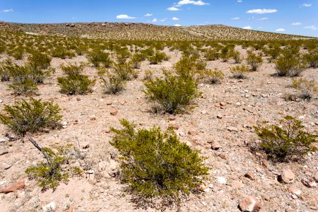Near Apache Flats