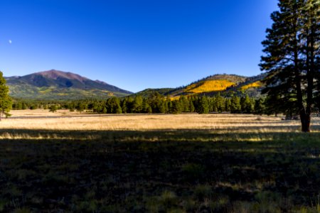 Kendrick Park Watchable Wildlife Trail (September 30, 201)