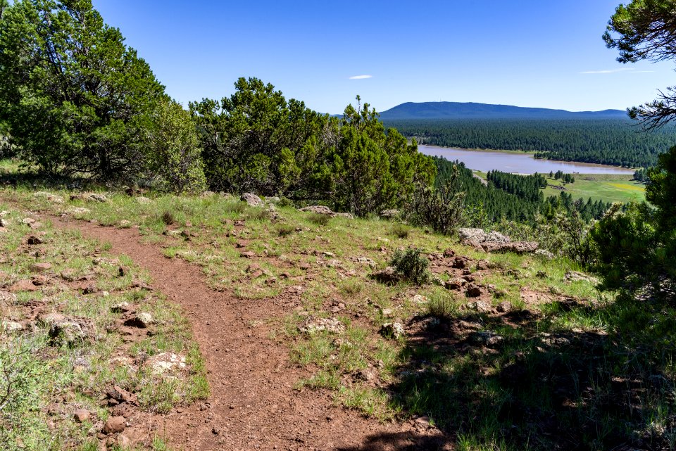 Arizona Trail: Anderson Mesa AZT-30