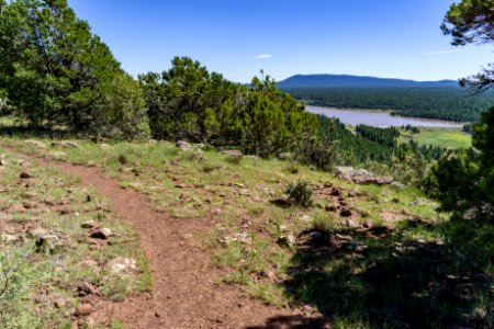 Arizona Trail: Anderson Mesa AZT-30 photo