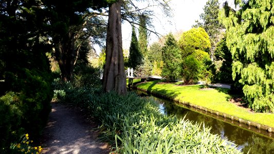 Arboretum Trompenburg photo