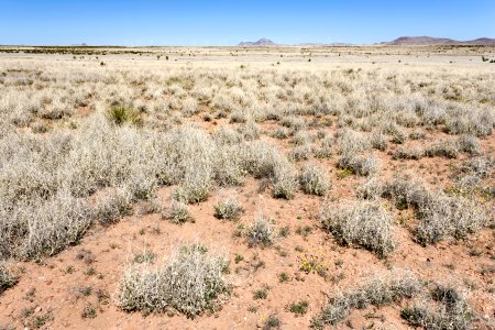 Near Chandler Draw