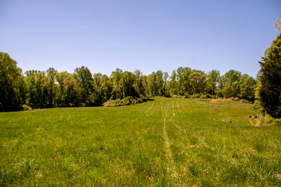 2019 Walk for the Woods Bacon Ridge Natural Area 232