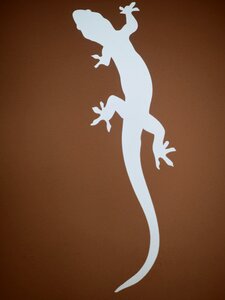 Silhouette lizard crawl