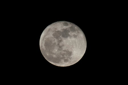 Supermoon January 2018 6866