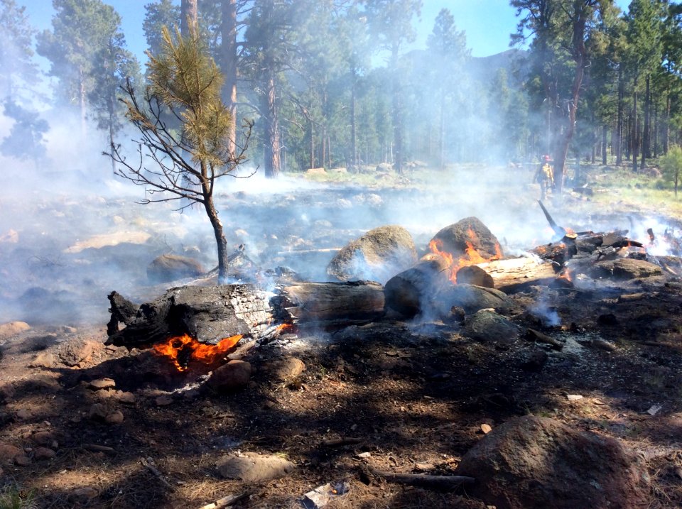 Freidlein Fire (June 19, 2017)