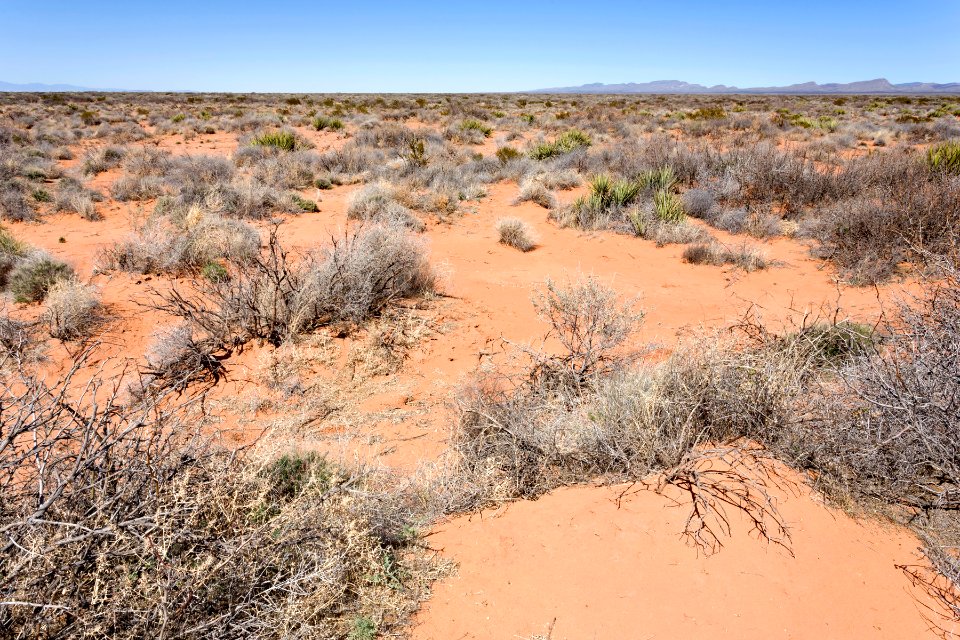 Near Gilmore Draw