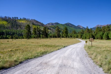 Lockett Meadow photo