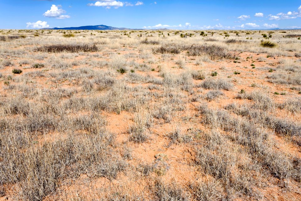 Near Flat Canyon