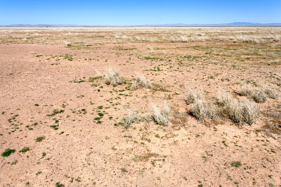 Edge of Lordsburg Playa