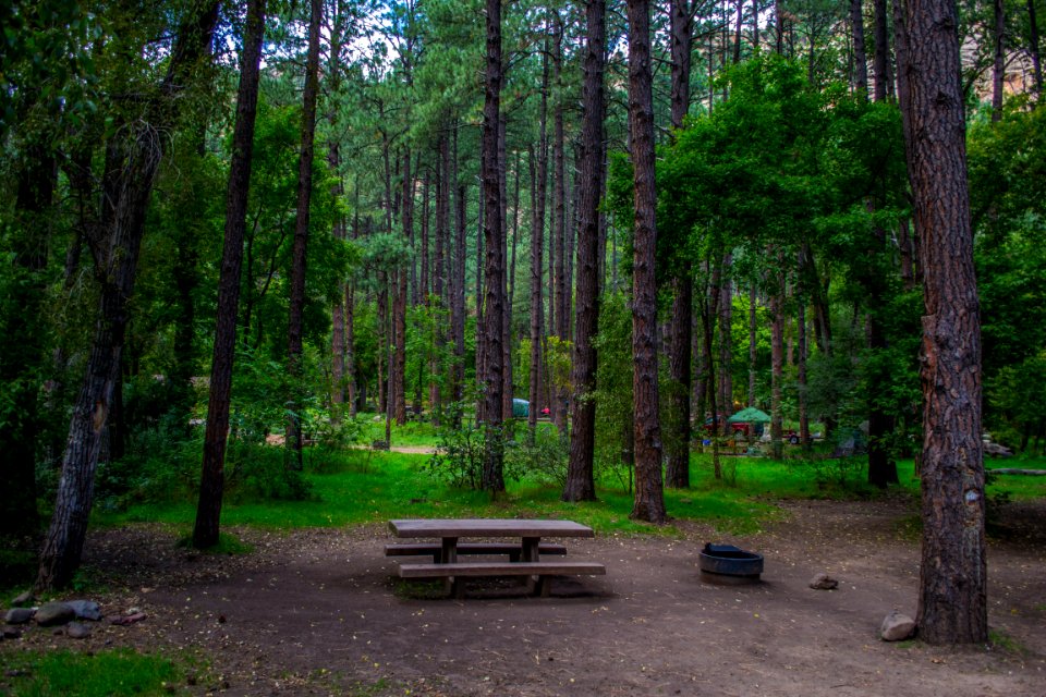 Cave Springs Campground