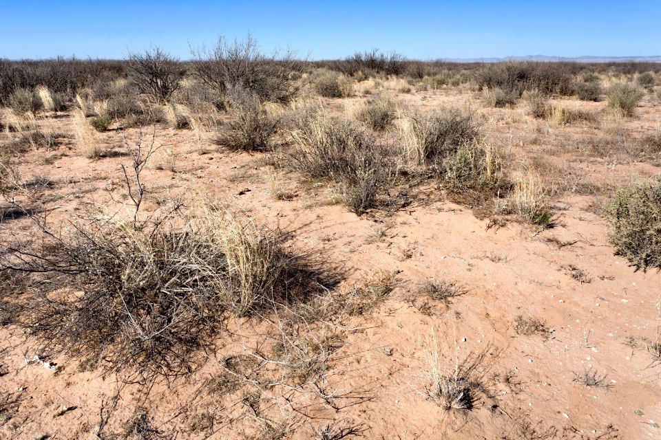 Northeast of Lordsburg Playa