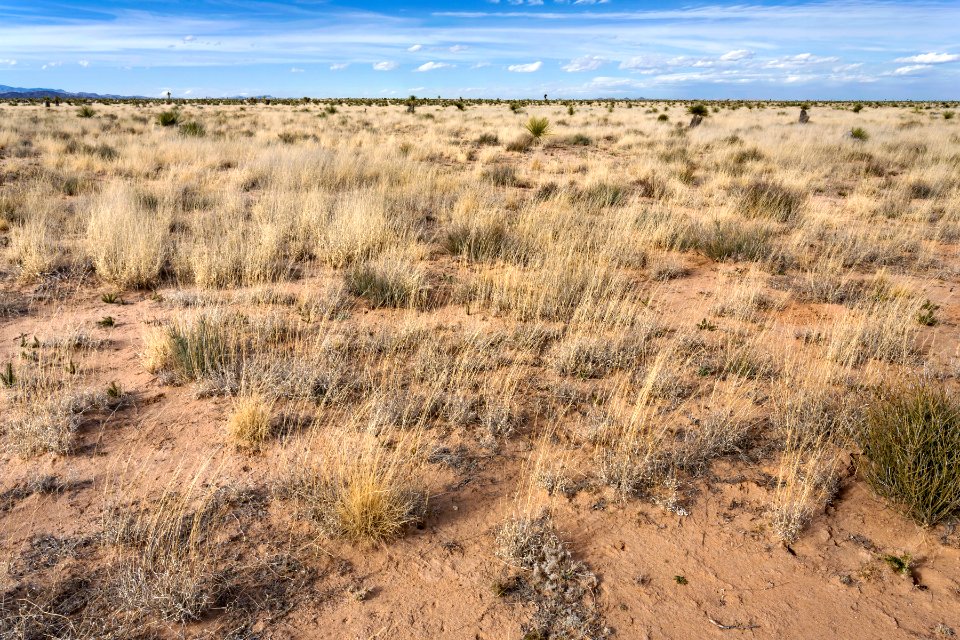Northern Jornada Plain