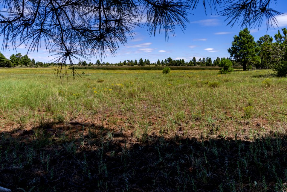Arizona Trail: Anderson Mesa AZT-30