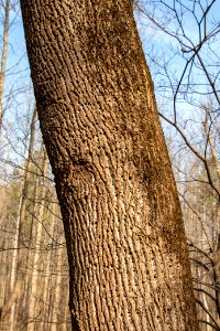 2019 Bacon Ridge History Hike 048