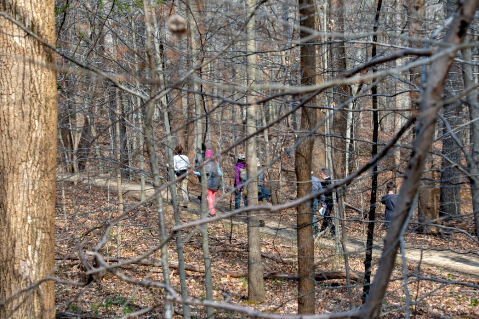 2019 Bacon Ridge History Hike 065