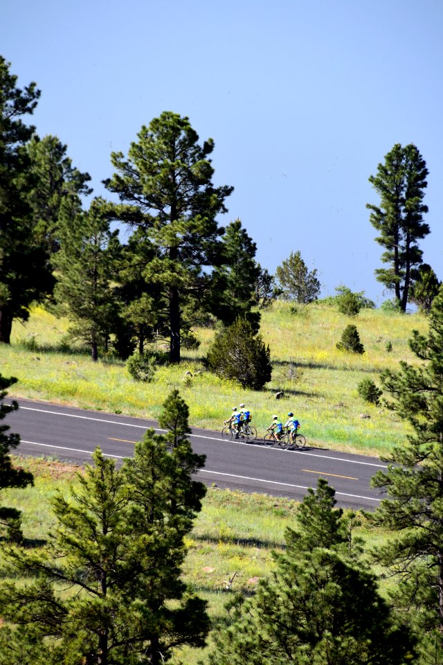 Lake Mary Road Cyclists