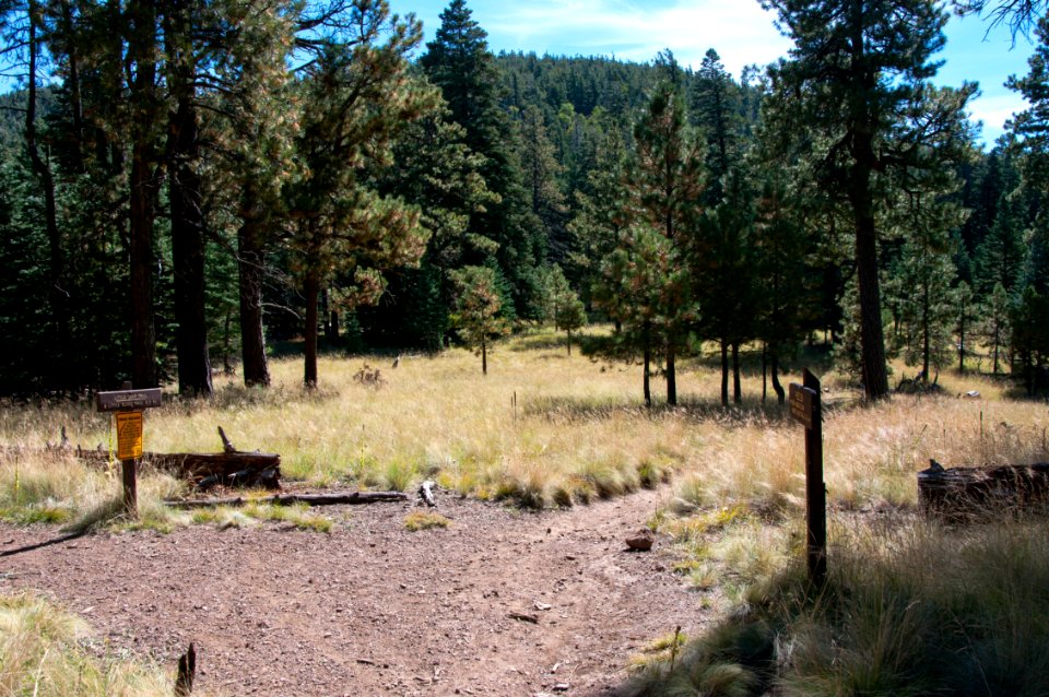 Sunset Trail No. 23