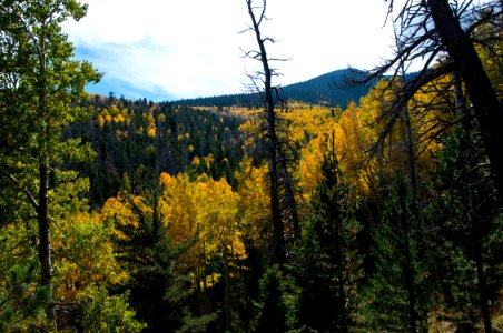 Bear Jaw Trail