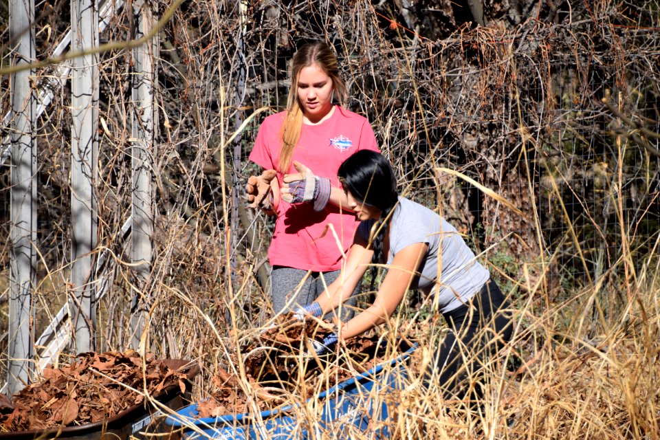 Youth Conservation Education Project at Crescent Moon Ranch