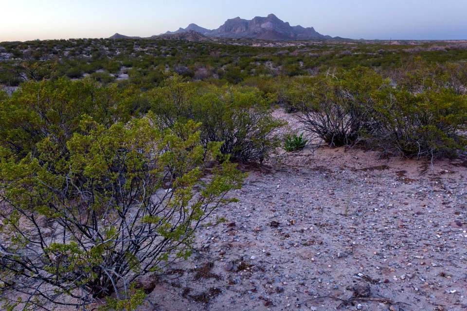 South of the Doña Ana Mountains