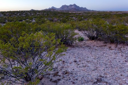 South of the Doña Ana Mountains