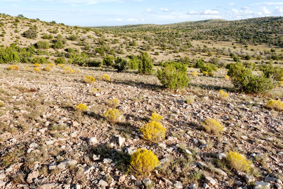 Southwest of Moccasin Draw