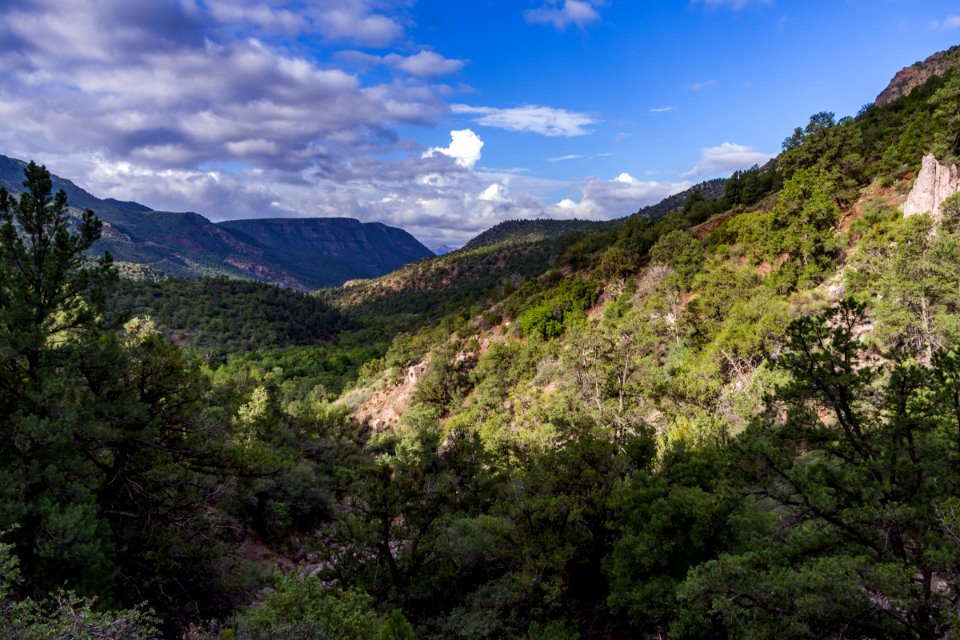 Flume Trail to the old Fossil Creek Dam