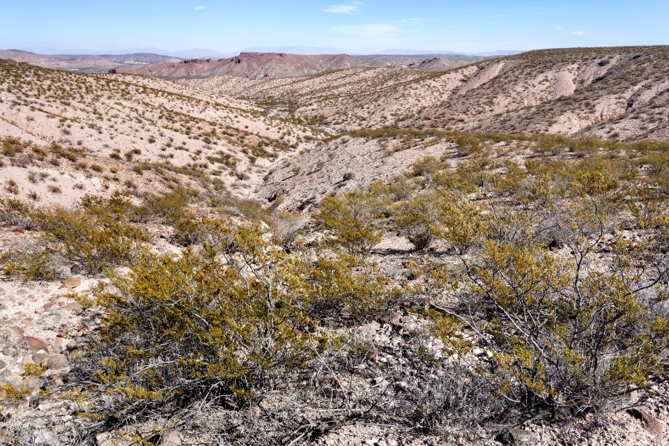 Eastern foothills of the Sierra de las Uvas