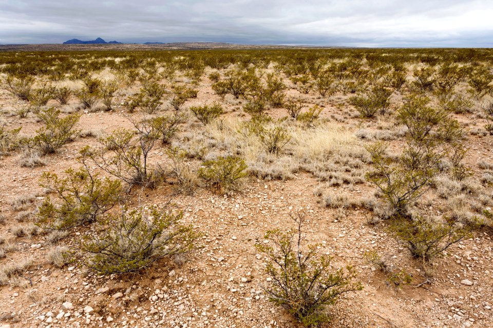 Otero Mesa