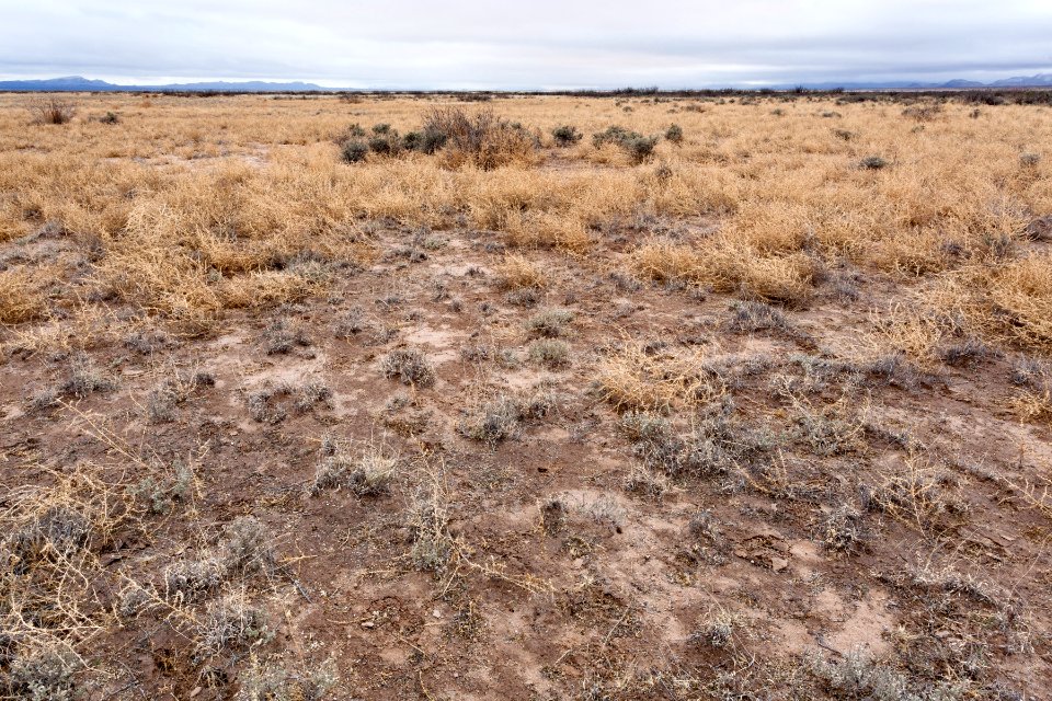 North of Northern Lordsburg Playa