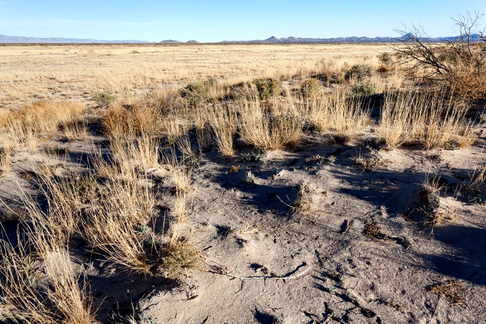 East of Northern Lordsburg Playa