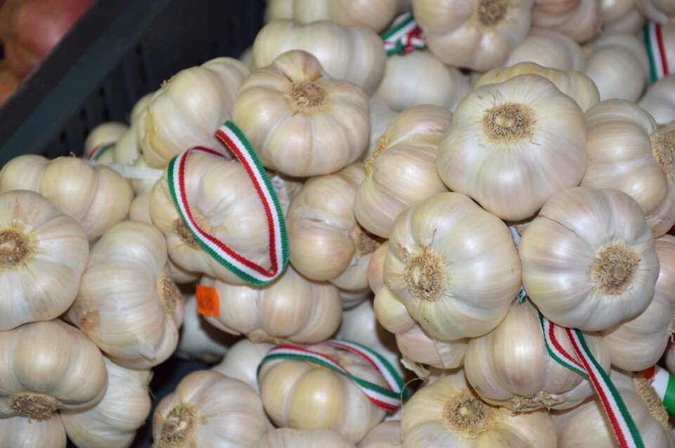 Garlic spice market
