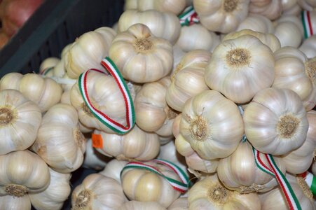 Garlic spice market photo
