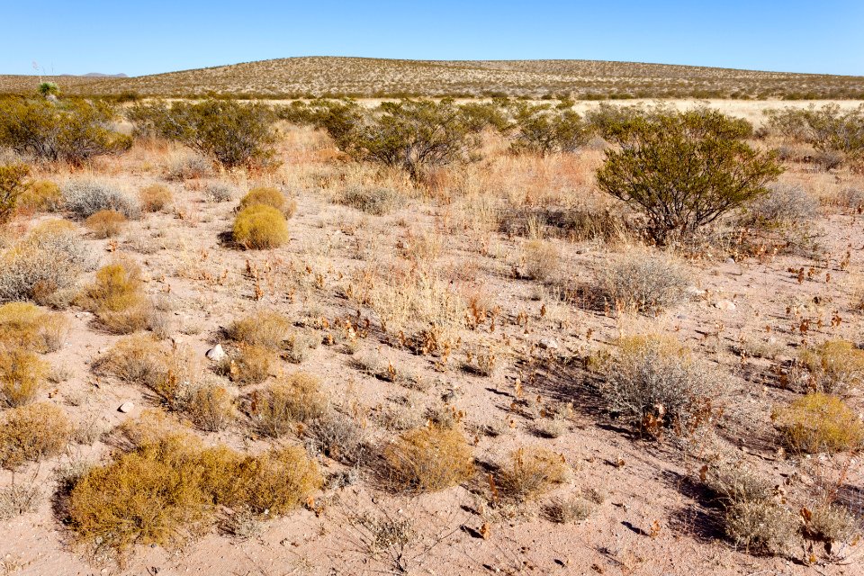 Northeast of Hachita