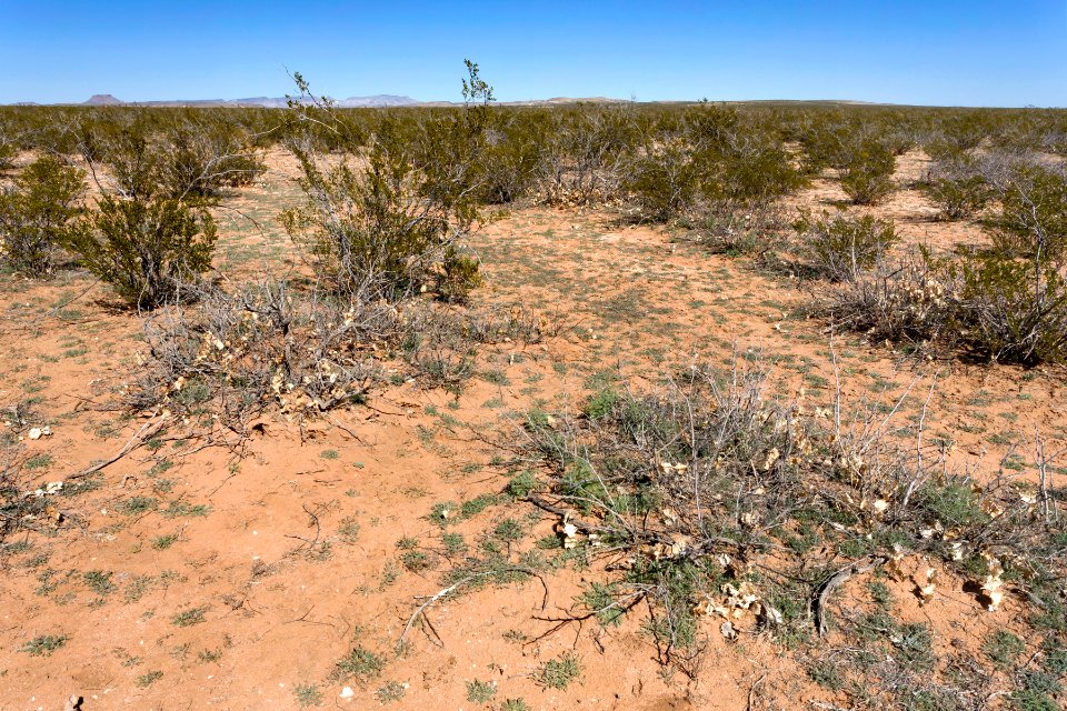 South of Apache Flats
